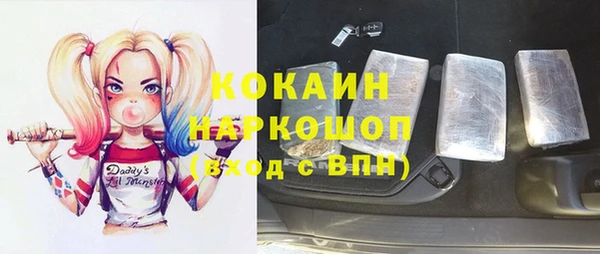 прущие крисы Бородино