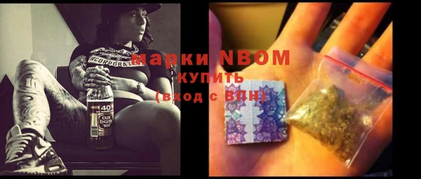 мдпв Верхний Тагил