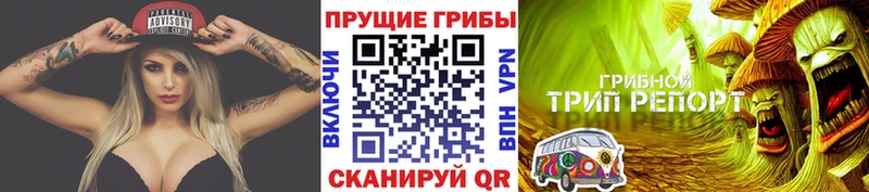 ссылка на мегу ССЫЛКА  где продают наркотики  Каспийск  Галлюциногенные грибы Cubensis 